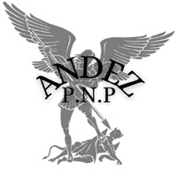 Andez PNP logo - Similar company to Nathaniel Lacy & Partners Llp