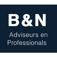B&N Adviseurs en Professionals logo - Similar company to Dm-Groep