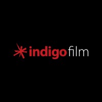INDIGO FILM SRL logo - Similar company to Tempesta