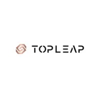 Topleap Financial Group (晉凱金融集團） logo - Similar company to Topleap