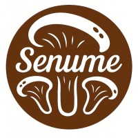 senume logo - Similar company to Agentic Dream