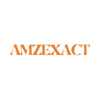 Amzexact logo - Similar company to Techlorz Solutions