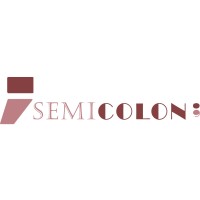 Semicolon For Programming logo - Similar company to Ucan Academy For Programming