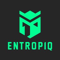 Entropiq logo - Similar company to Ematiq