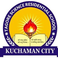 Tagore Science Residential School Kuchaman logo - Similar company to Vivek Techno School