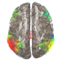 Mind Body Treatment logo - Similar company to Norcal Brain Center