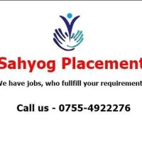 Sahyog Placement Group logo - Similar company to Spark Placement