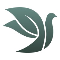 Friendly Diamonds logo - Similar company to A