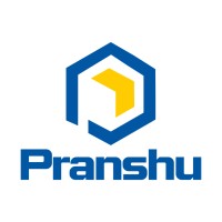 Pranshu Electricals Pvt. Ltd. logo - Similar company to Bush Electromech & Engineering Pvt. Ltd.