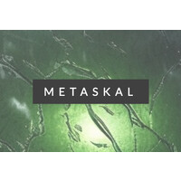 metaskal logo - Similar company to Clockwerk
