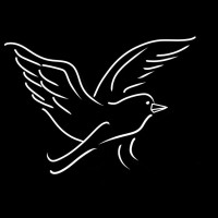 Knight - AI Solutions logo - Similar company to Linux From Scratch