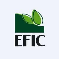EFIC - Egyptian Financial & Industrial Co. logo - Similar company to D.B. Communications Inc