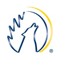 Blue Wolf logo - Similar company to Mbar Technologies, Inc