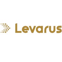 Levarus logo - Similar company to Infoplus Mdm