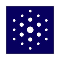 Inteligenia logo - Similar company to Ciberin Security