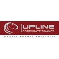 Upline Corporate Finance logo - Similar company to Iscae Micro-Conseil