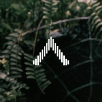 Air Music Agency logo - Similar company to Granidea S.A.