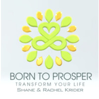 Born To Prosper logo - Similar company to Prosperity Of Life