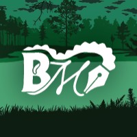 Bayou Marketing logo - Similar company to Izeify