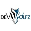 DEVWOLFZ LLC logo - Similar company to Rubik'S Solution