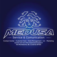 Medusa Service SRL logo - Similar company to Innoova