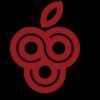 Berry Essentials logo - Similar company to Sakura Distributors Inc