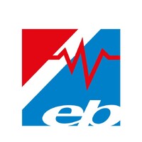 Elektro Bischofer GmbH & Co KG logo - Similar company to Nikko Photovoltaik Gmbh
