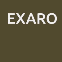 Exaro logo - Similar company to Imageteq Technologies Inc.