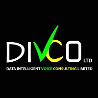Data Intelligent Voice Consulting Ltd logo - Similar company to Iconic Data Insight