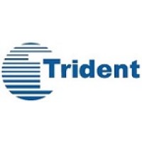 Trident Inc. logo - Similar company to Cyber Trident
