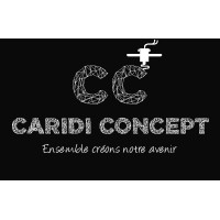 Caridi Concept logo - Similar company to Billardy, Screw Machining And Cold Forming