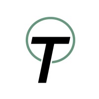 T2I GDS logo - Similar company to Cactus Payroll
