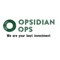Opsidian Ops logo - Similar company to Educade