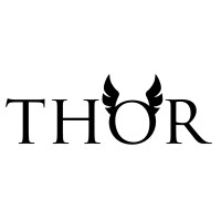 Thor Società Cooperativa logo - Similar company to Staging Power