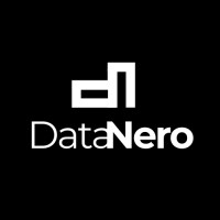 Data Nero logo - Similar company to Scikitdata Analytics