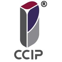 Construccion Civil, Ingeniería y Proyectos, S.A.S. de C.V. logo - Similar company to Grupo Diseño Constructor Concec Sa De Cv