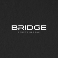 Bridge Sports Global logo - Similar company to Tritonica Group Ltd