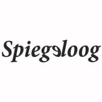 Spiegeloog logo - Similar company to Ipsitec