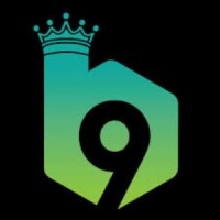 b9game logo - Similar company to Okpay