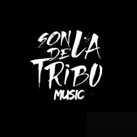 SondelaTribuMusic logo - Similar company to Supersonido Music Supervision