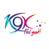 KONNECT 9 XPERIENCE logo - Similar company to Swar Aalap