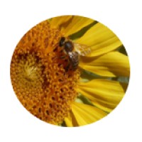 ADALIA Formation logo - Similar company to Adalia