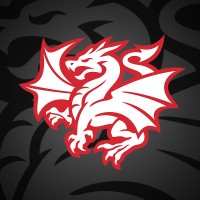 St George Illawarra Dragons logo - Similar company to Vipeople