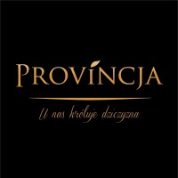 PROVINCJA logo - Similar company to Polindus