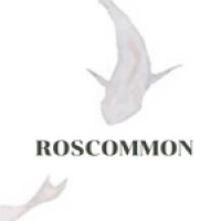 Roscommon logo - Similar company to Maplopo