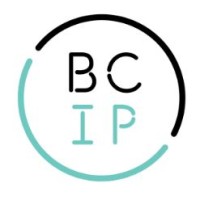 Bresner Cammareri IP - BCIP logo - Similar company to Dg Technologies