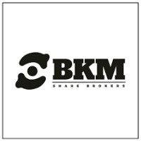 BKM SHARE BROKERS logo - Similar company to Capital Quill