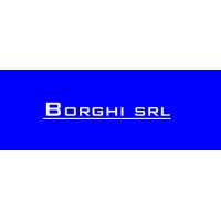 Borghi Srl logo - Similar company to Fiore Technologies A Company Of Borghi Group