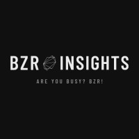 BZR Insights logo - Similar company to Topgrc