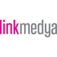 linkmedya logo - Similar company to Codmode Digital Agency